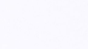 Dra. Ana María Polo