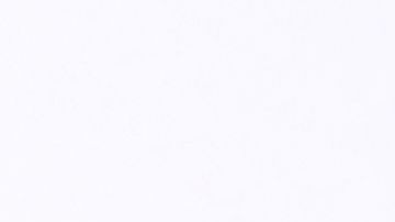 Dra. Ana María Polo