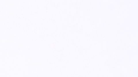 Dra. Ana María Polo