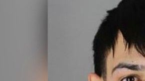 Andrew Otero-Albertorio