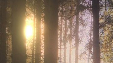 Foto tomada con un iPhone 6s.