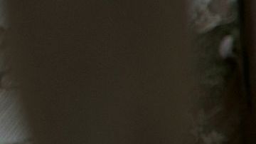 Sandra Bullock protagoniza "Bird Box" de Netflix