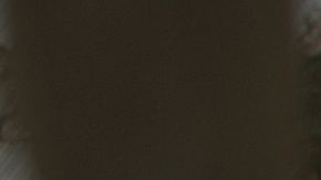 Sandra Bullock protagoniza "Bird Box" de Netflix