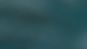 "Bird Box" ha generado controversia en las redes / Foto: Netflix