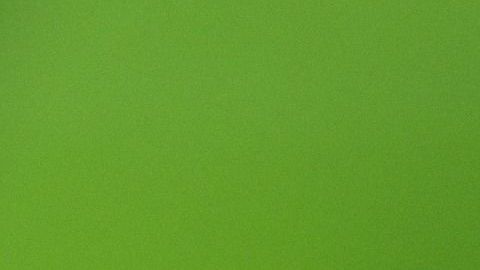 Las hormigas aparecieron en el momento indicado.