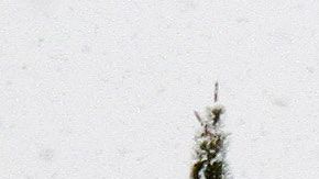 Además de tu salud, protege a tu vehículo