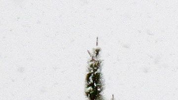 Además de tu salud, protege a tu vehículo