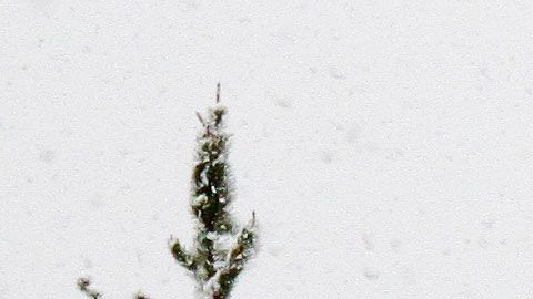 Además de tu salud, protege a tu vehículo