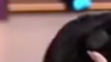 Carolina "La Venenosa" Sandoval en "Suelta La Sopa"