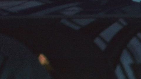 Son medidas para combatir los daños del Calentamiento Global