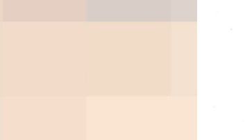 Christian Rodríguez es un testigo protegido del FBI.