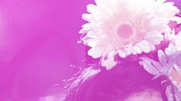 Mon Laferte, Los Tucanas de Tijuana y Ariana Grande se presentarán en Coachella