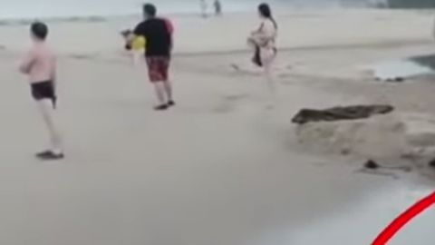 El cocodrilo le dio un gran susto a los turistas de Tayrona.