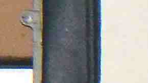 El equipo Águilas del América, campeones de Copa La Raza en Chitown Futbol. (Javier Quiroz / La Raza)