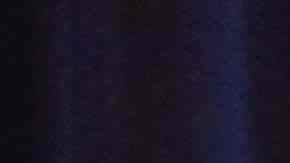 Los Cachorros de Chicago motivados para la nueva temporada 2019. (Javier Quiroz / La Raza)