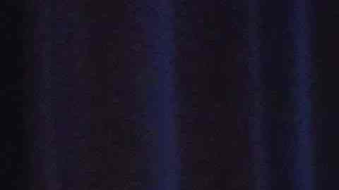 Los Cachorros de Chicago motivados para la nueva temporada 2019. (Javier Quiroz / La Raza)