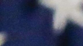 Trump estaría escondiendo sus vínculos económicos con diferentes países