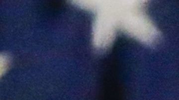 Trump estaría escondiendo sus vínculos económicos con diferentes países