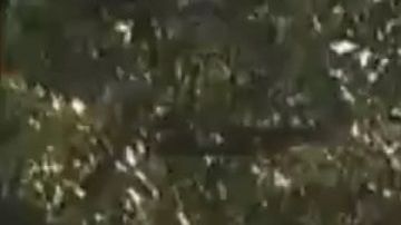 El presidente Trump descarta que México pague directamente por el muro.