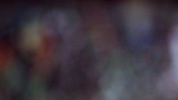 El "Chicharito" no se va del West Ham si es a préstamo.