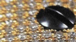 Pistola de oro y diamantes que supuestamente poseía “El Chapo”.