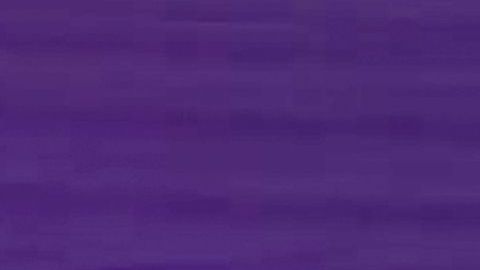 Galilea Montijo en el programa "Hoy" de Televisa