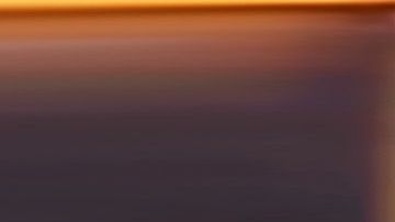 La gente no olvida su metida de pata con la película 'Roma'./Archivo