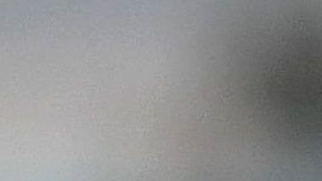 El gobierno había defendido repetidamente su intención de incluir la pregunta