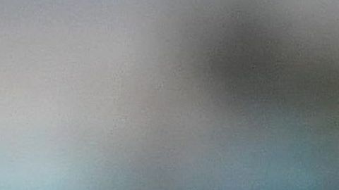 El gobierno había defendido repetidamente su intención de incluir la pregunta