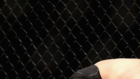 Khabib Nurmagomedov y Conor McGregor durante su pelea en UFC 229.