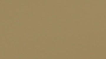 En su segundo año de gobierno Trump realizó 16.5 comentarios falsos al día