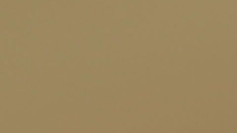 En su segundo año de gobierno Trump realizó 16.5 comentarios falsos al día