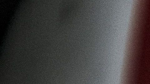 En la foto aparece el famoso gato de la suerte.