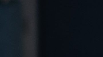 Este domingo se cumple el segundo aniversario del gobierno de Trump