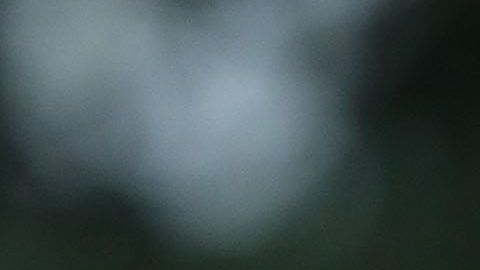 El presidente Donald Trump.