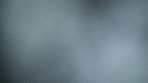 El presidente Donald Trump.