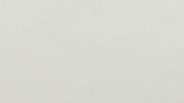 El cierre parcial del Gobierno federal divide cada vez más a los agentes de la Patrulla Fronteriza quienes siguen trabajando sin cobrar.