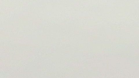 El cierre parcial del Gobierno federal divide cada vez más a los agentes de la Patrulla Fronteriza quienes siguen trabajando sin cobrar.