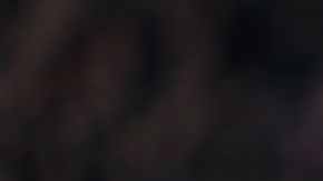 Javier "Chicharito" Hernández