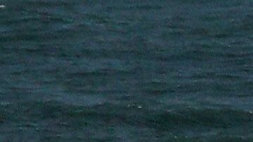 Foto capturada en Moon Bay, California.