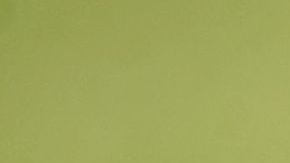 El Presidente había criticado antes a los servicios de inteligencia.