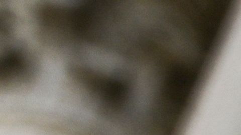 Los Archivos Nacionales fue uno de los muchos servicios afectados por el cierre de Gobierno que comenzó el 22 de diciembre. /ANDREW CABALLERO-REYNOLDS / AFP/Getty Images.