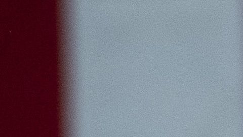 Melania sería mucho más protectora de Trump de lo que se cree o ve