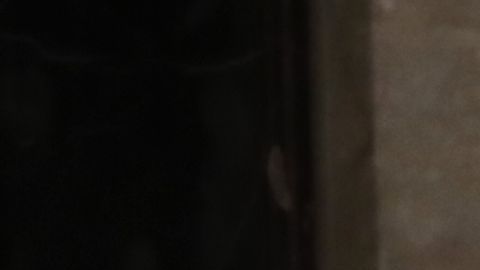 La representante de California, de 78 años, sumó más de los 218 votos necesarios para convertirse en la nueva presidenta de la Cámara Baja.