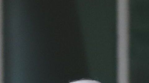 El líder de la minoría demócrata en el Senado, Chuck Schumer, y la presidenta de la Cámara Baja, Nancy Pelosi,  pidieron un trato igualitario de tiempo al aire en televisión. Foto enero 4, 2019 en Washigton, DC.