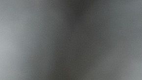 Donald Trump informó que su viaje debe ser aplazado hasta que finalice el cierre de gobierno.