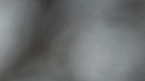 Donald Trump informó que su viaje debe ser aplazado hasta que finalice el cierre de gobierno.