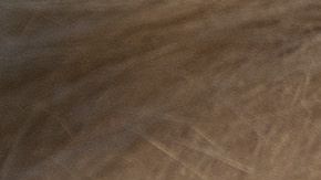 Sin embargo, Trump considera como "la mejor solución" alcanzar un acuerdo con el Congreso para financiar la construcción del muro con México.