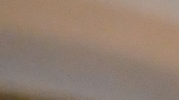 Nancy Pelosi y Chuck Schumer responden al discurso de Trump.