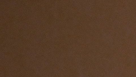 Trump se reunió con jefes de la oposición demócrata en la Casa Blanca después de participar en un almuerzo con congresistas del partido republicano.